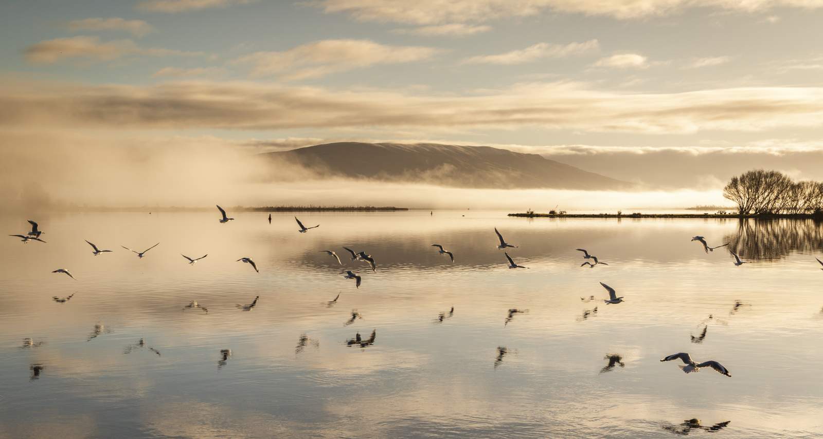 Lake Waihola 1 credit Geoff Marks