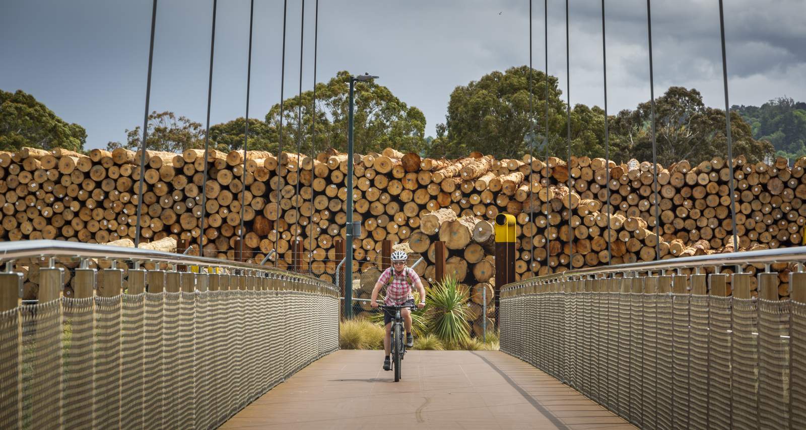 Dunedin Harbour Cycleway credit Geoff Marks 856